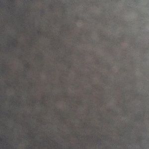 Meet your Posher, Bryce